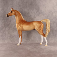 Khatastrophe OOAK Arabian Stallion by Erin Corbett EQ26