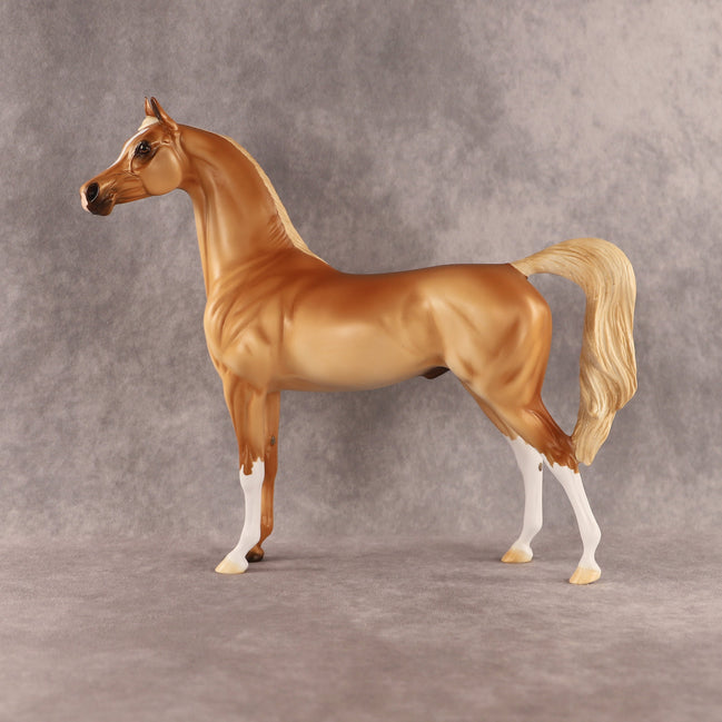 Khatastrophe OOAK Arabian Stallion by Erin Corbett EQ26