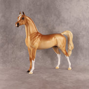 Khatastrophe OOAK Arabian Stallion by Erin Corbett EQ26