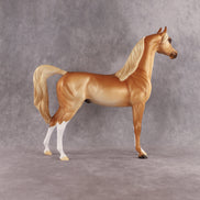 Khatastrophe OOAK Arabian Stallion by Erin Corbett EQ26