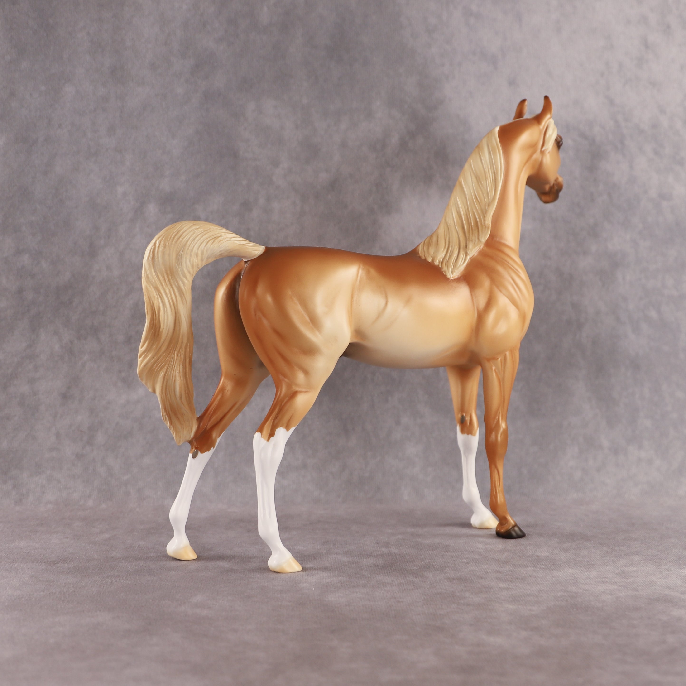 Khatastrophe OOAK Arabian Stallion by Erin Corbett EQ26
