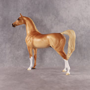 Khatastrophe OOAK Arabian Stallion by Erin Corbett EQ26