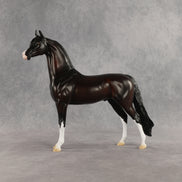 Khornelius LE-10 FCM Arabian Stallion by Anna Rieck SHCF26