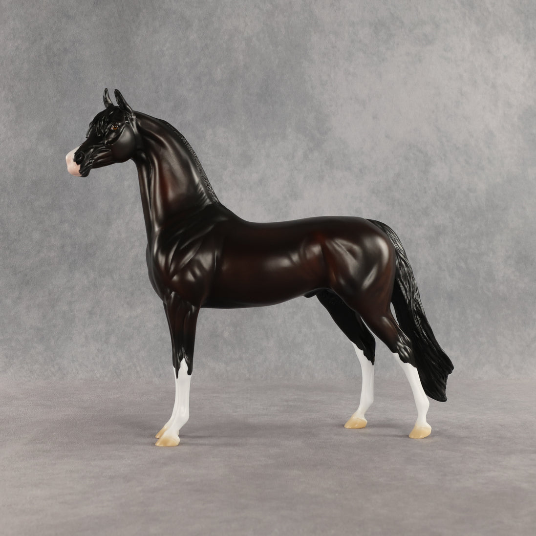 Khornelius LE-10 FCM Arabian Stallion by Anna Rieck SHCF26