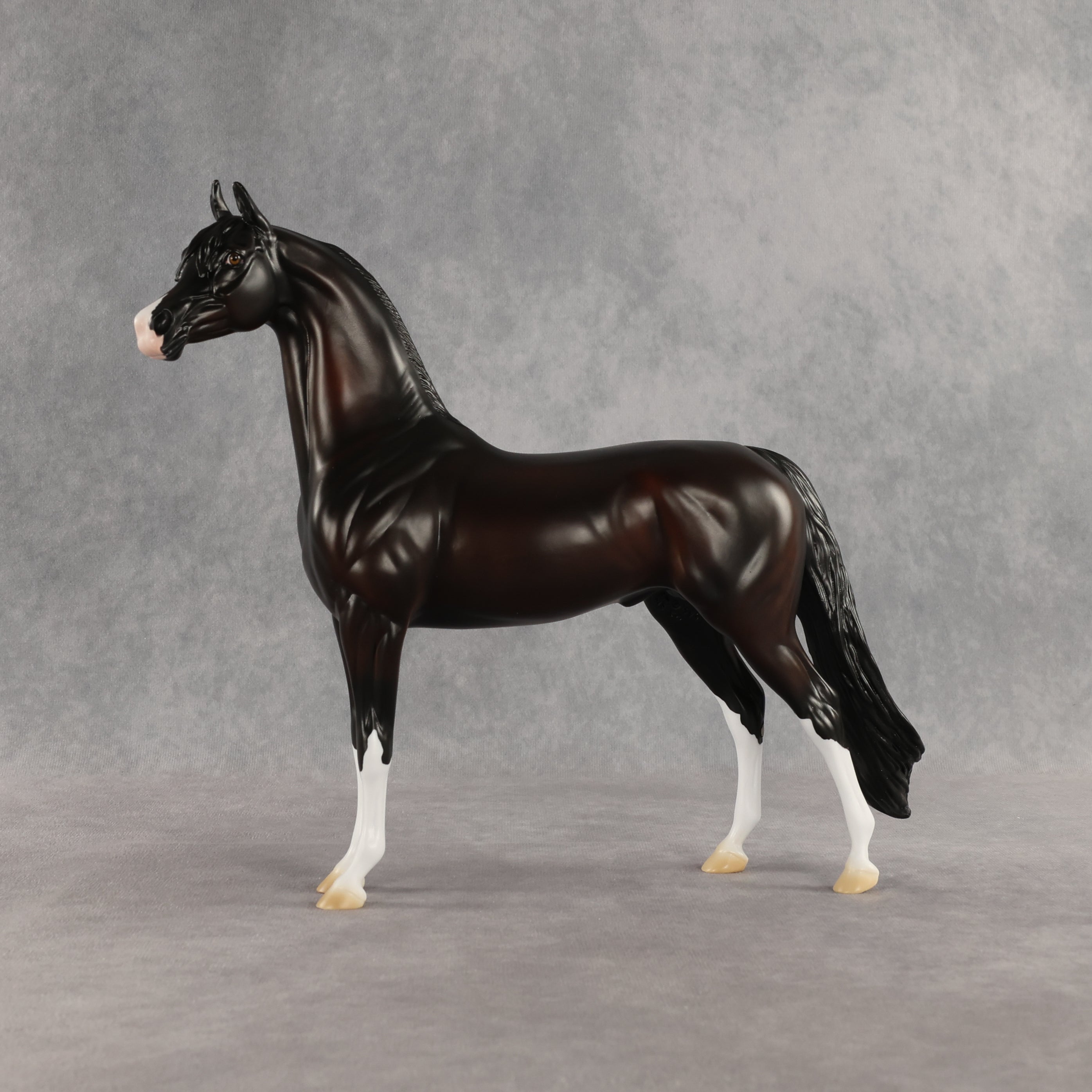 Khornelius LE-10 FCM Arabian Stallion by Anna Rieck SHCF26