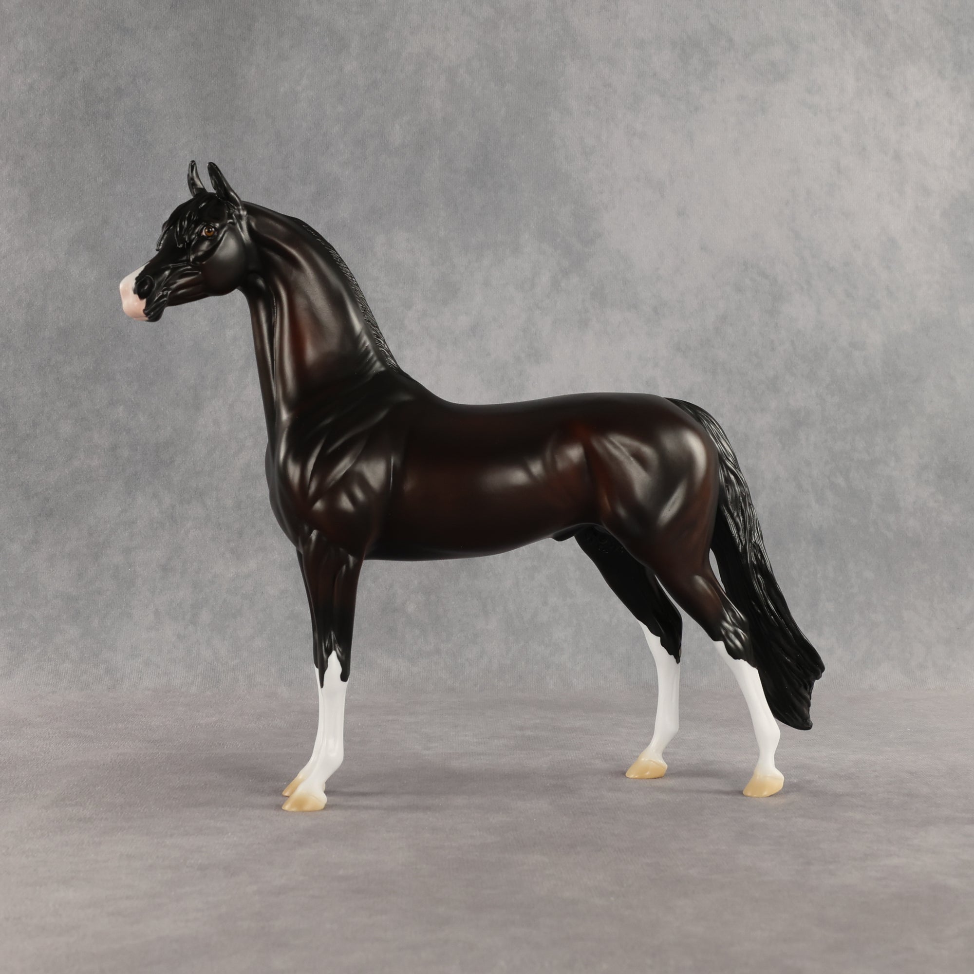 Khornelius LE-10 FCM Arabian Stallion by Anna Rieck SHCF26