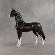 Khornelius LE-10 FCM Arabian Stallion by Anna Rieck SHCF26