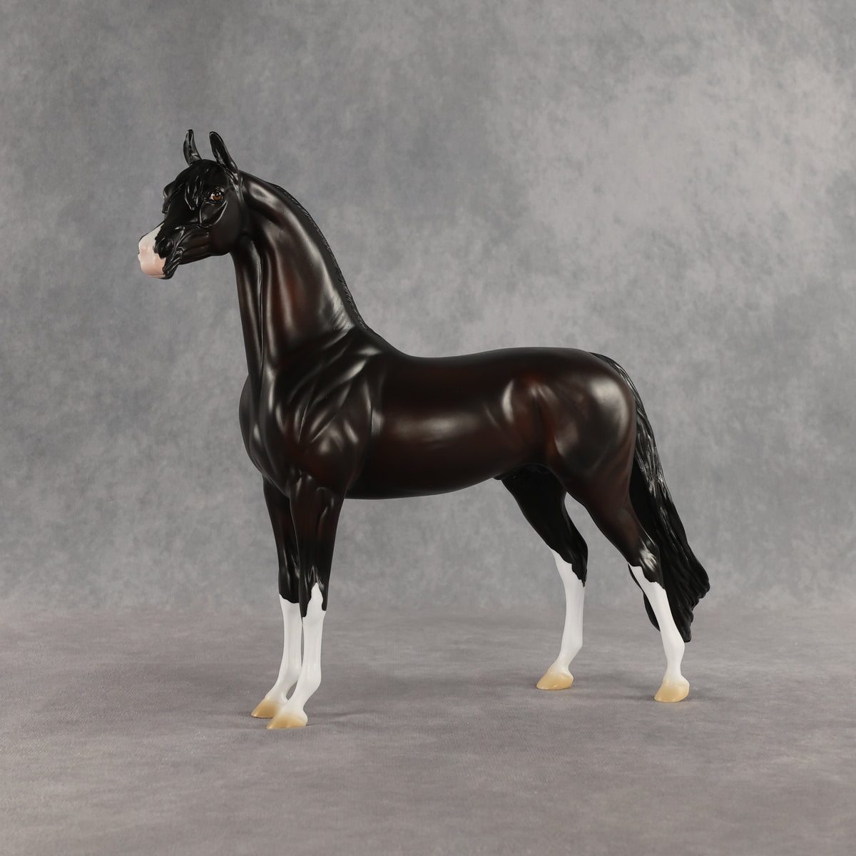 Khornelius LE-10 FCM Arabian Stallion by Anna Rieck SHCF26