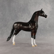 Khornelius LE-10 FCM Arabian Stallion by Anna Rieck SHCF26