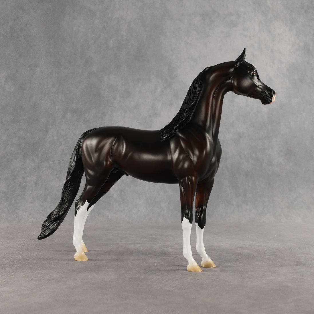 Khornelius LE-10 FCM Arabian Stallion by Anna Rieck SHCF26