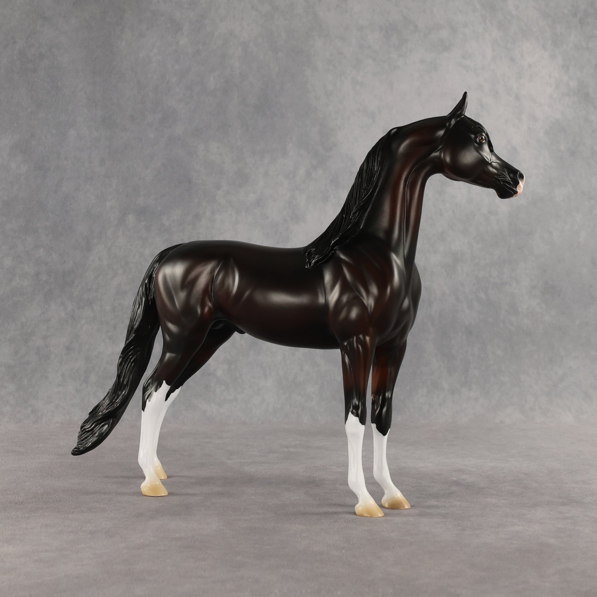 Khornelius LE-10 FCM Arabian Stallion by Anna Rieck SHCF26