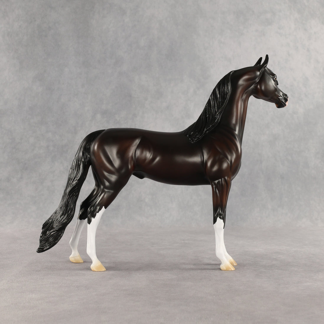 Khornelius LE-10 FCM Arabian Stallion by Anna Rieck SHCF26