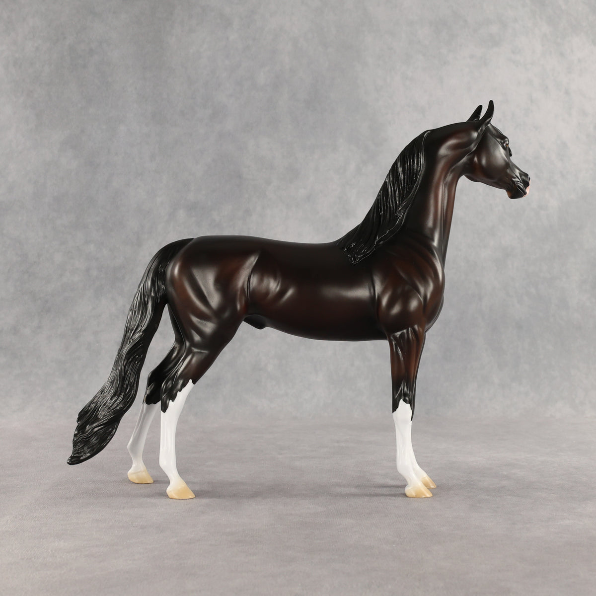 Khornelius LE-10 FCM Arabian Stallion by Anna Rieck SHCF26