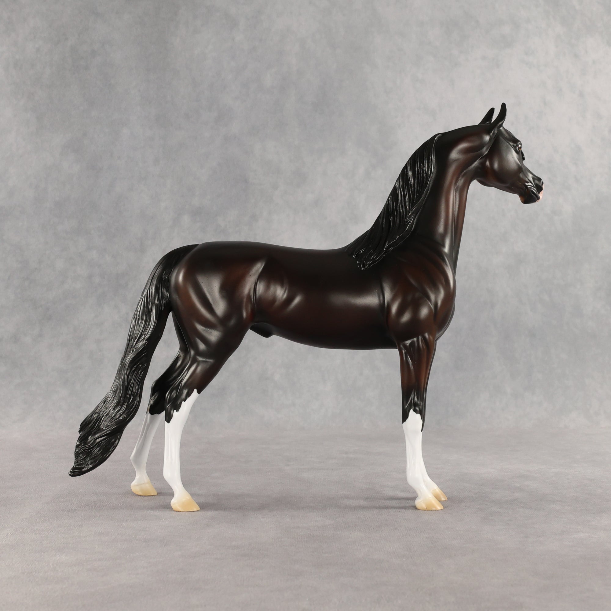 Khornelius LE-10 FCM Arabian Stallion by Anna Rieck SHCF26