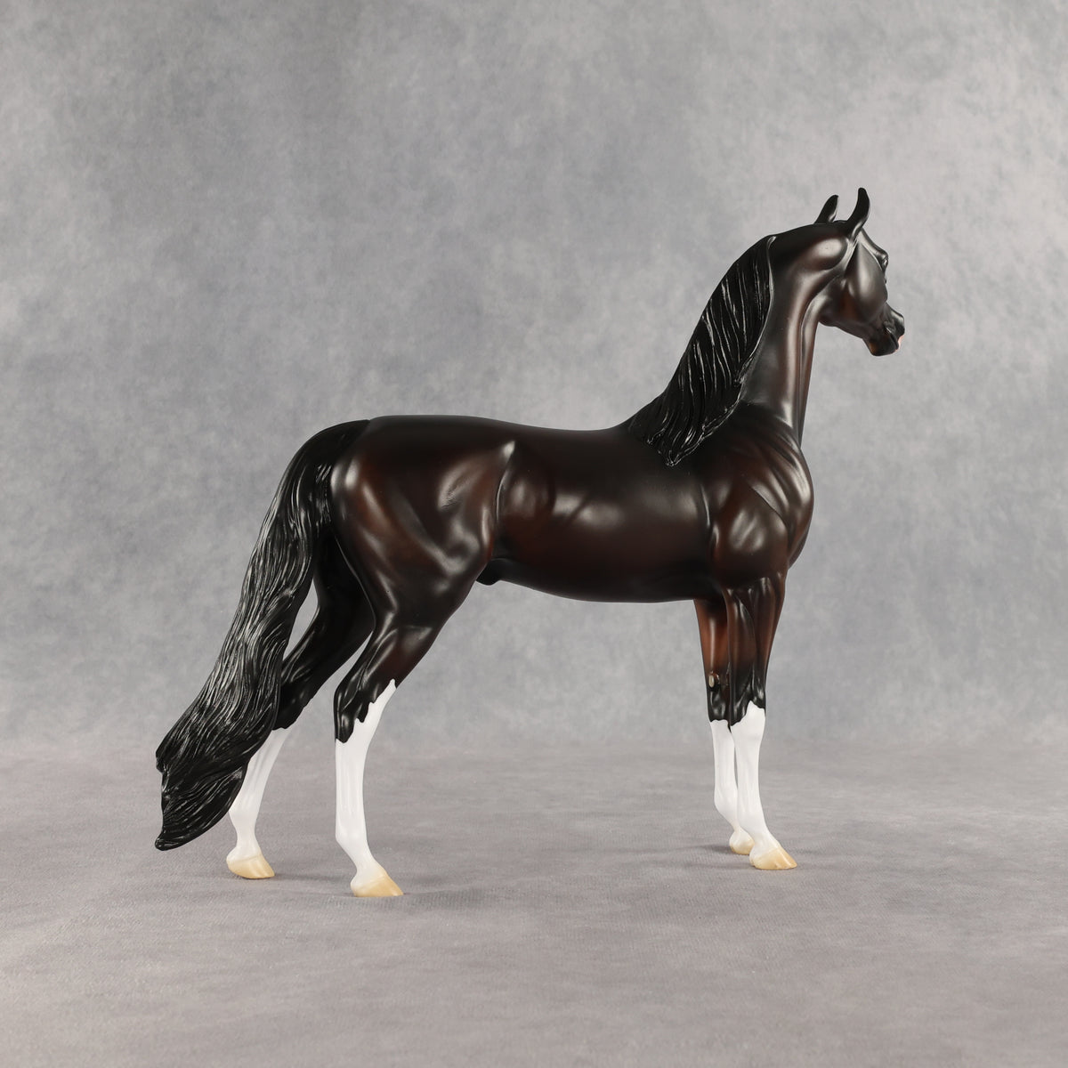 Khornelius LE-10 FCM Arabian Stallion by Anna Rieck SHCF26