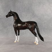 Khornelius LE-10 FCM Arabian Stallion by Anna Rieck SHCF26