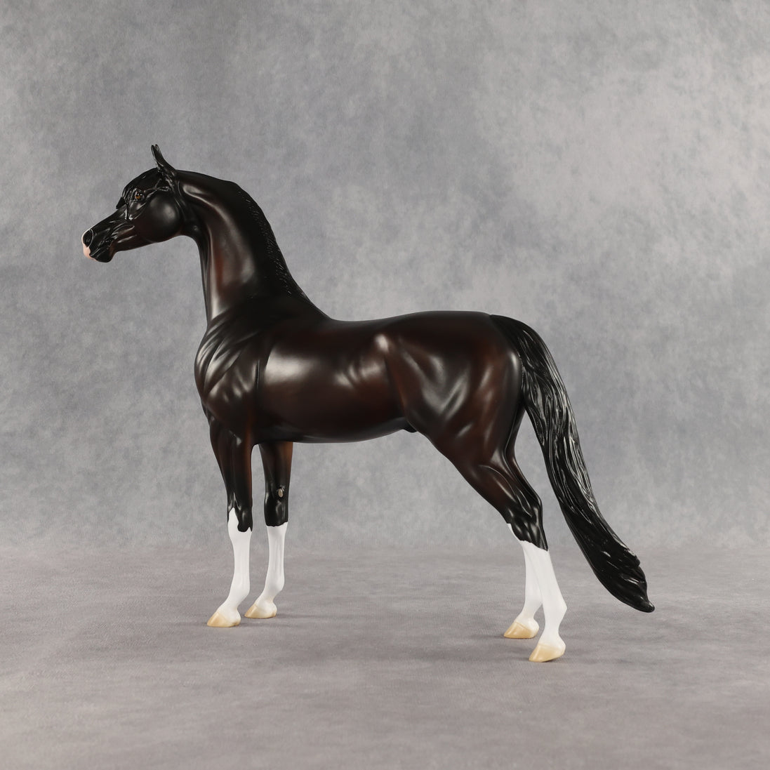 Khornelius LE-10 FCM Arabian Stallion by Anna Rieck SHCF26