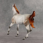 Kikyo OOAK FCM Arabian Mare by Anna Rieck DDOOAKs26
