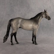 Kikyo OOAK Ideal Stock Horse by Anna Rieck DDOOAKs26