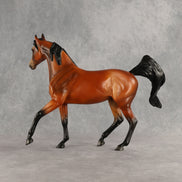 Kindness OOAK FCM Arabian Mare by Anna Rieck DDOOAKs26