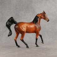Kindness OOAK FCM Arabian Mare by Anna Rieck DDOOAKs26
