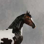 Kirby OOAK FCM Arabian Mare by Anna Rieck DDOOAKs26