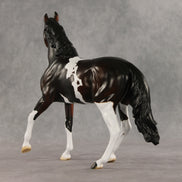Kirby OOAK FCM Arabian Mare by Anna Rieck DDOOAKs26
