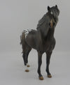 Kiss-OOAK Appaloosa Mustang Model Horse  8/26/20