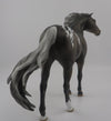 Kiss-OOAK Appaloosa Mustang Model Horse  8/26/20