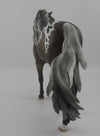 Kiss-OOAK Appaloosa Mustang Model Horse  8/26/20
