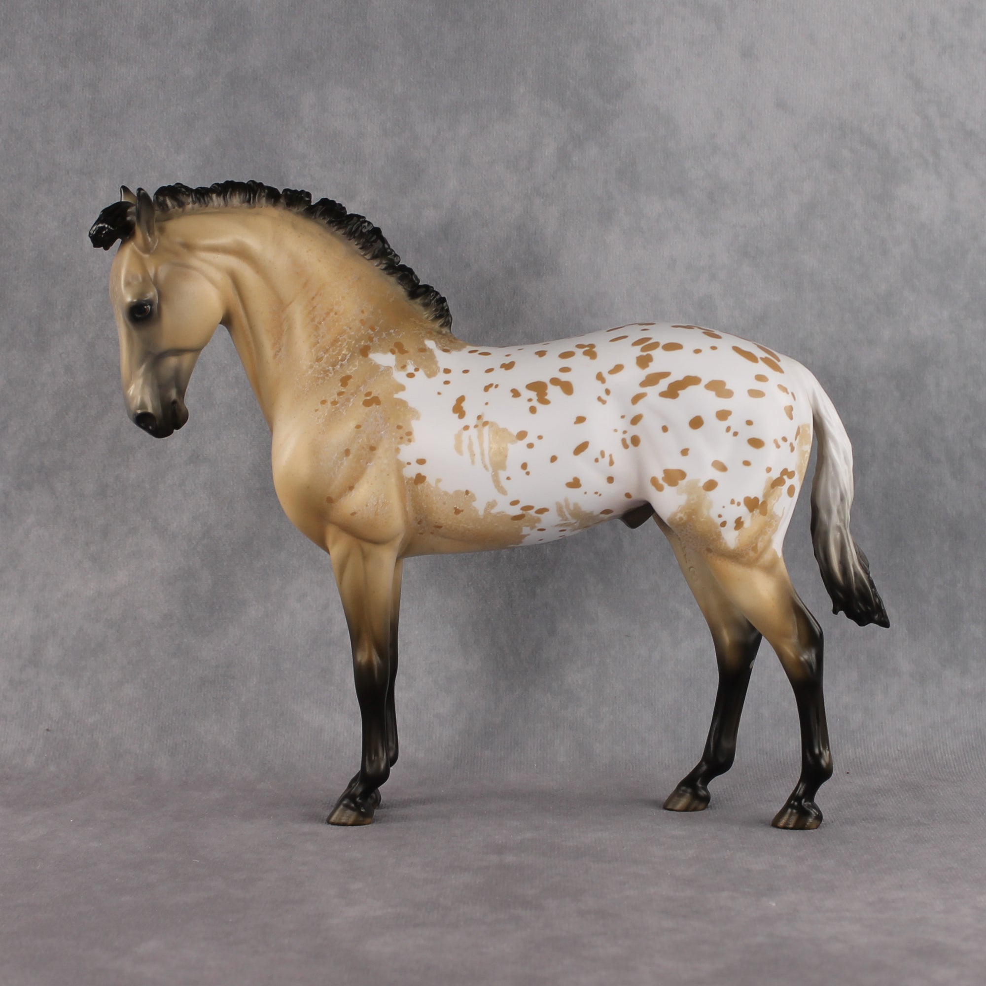 Kostadino OOAK FCM Andalusian by Jess Hamill Best Offer 8.11.2026