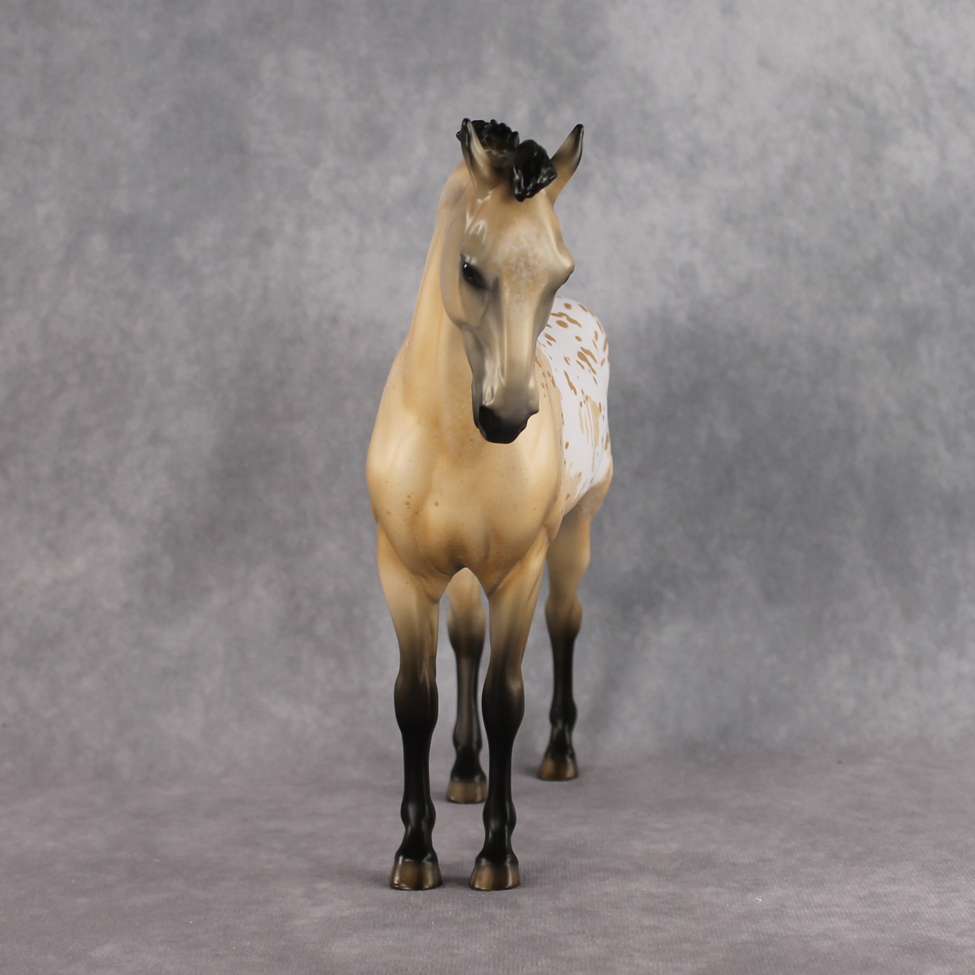 Kostadino OOAK FCM Andalusian by Jess Hamill Best Offer 8.11.2026