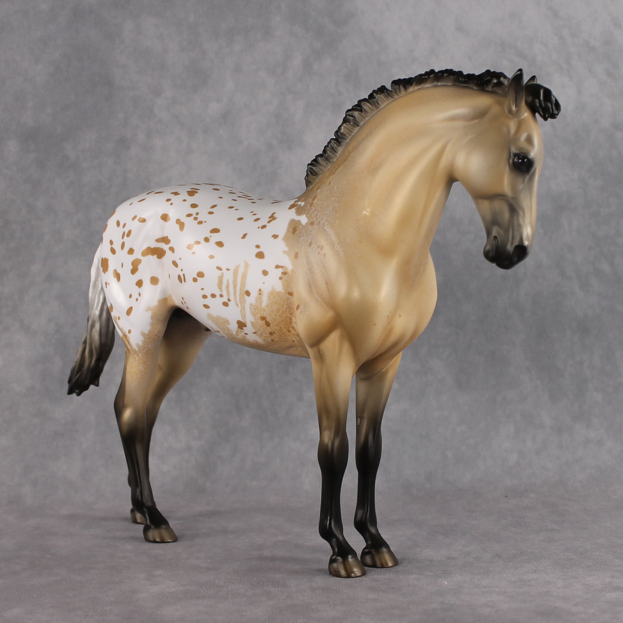 Kostadino OOAK FCM Andalusian by Jess Hamill Best Offer 8.11.2026