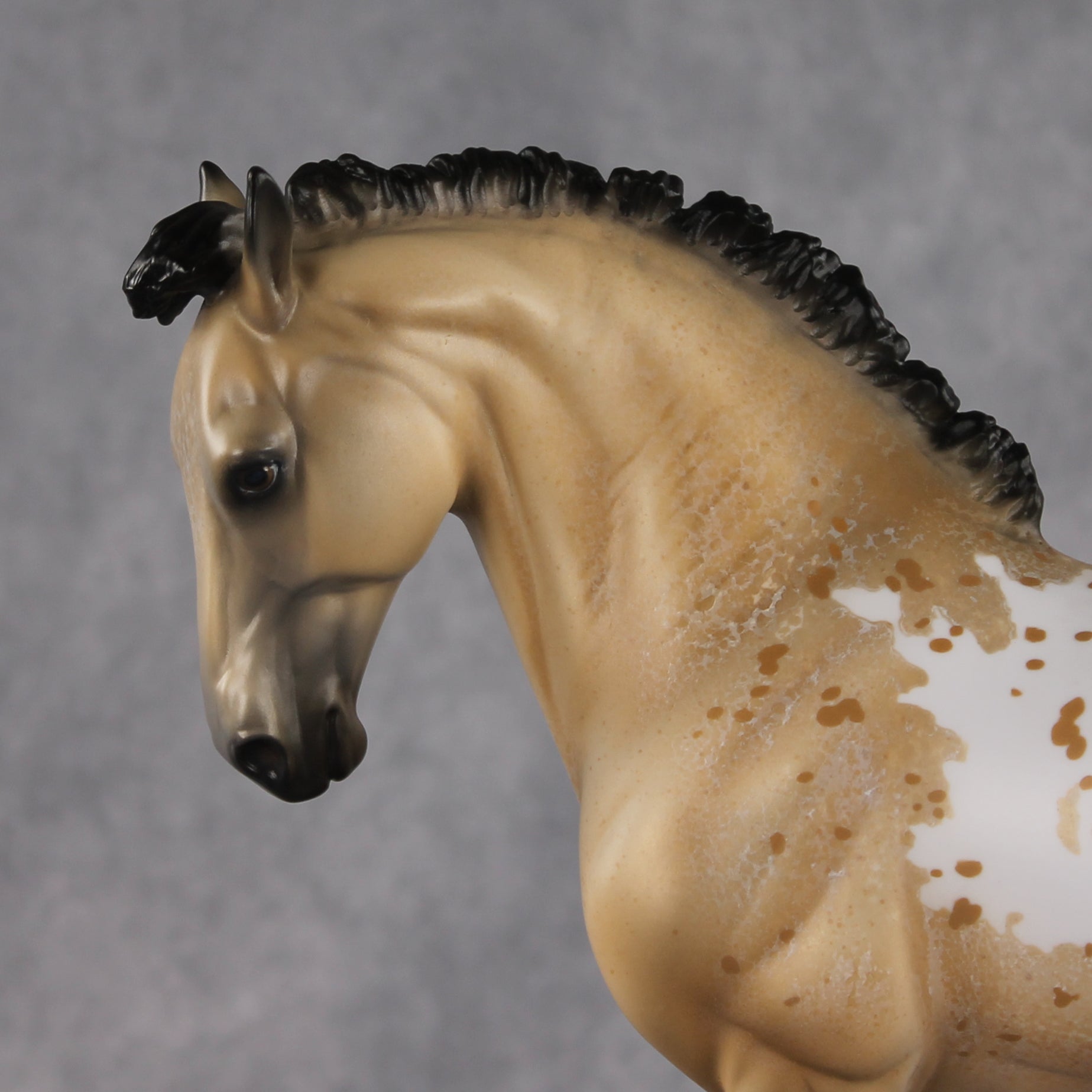 Kostadino OOAK FCM Andalusian by Jess Hamill Best Offer 8.11.2026