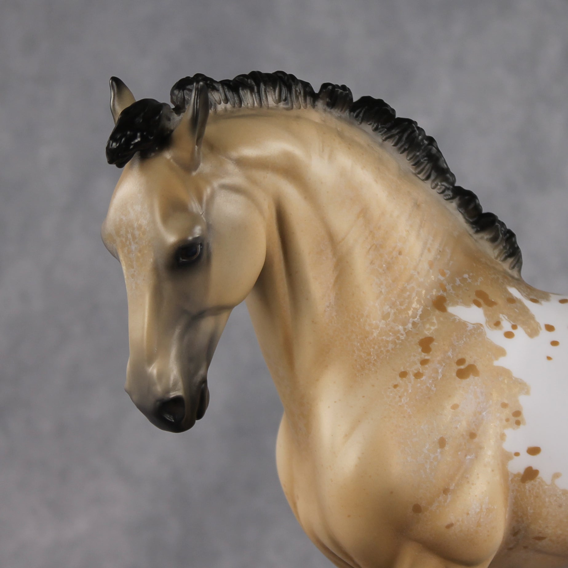 Kostadino OOAK FCM Andalusian by Jess Hamill Best Offer 8.11.2026