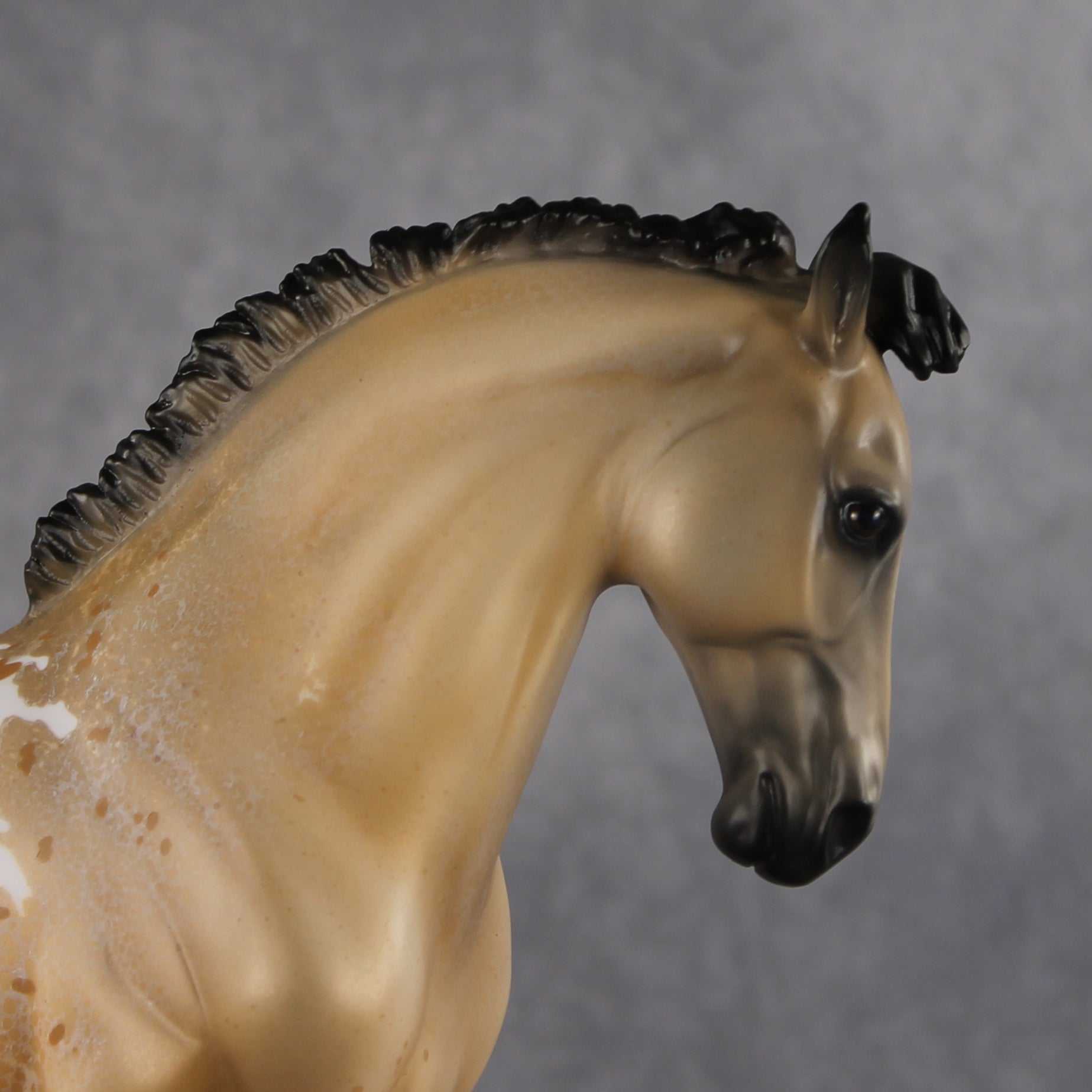 Kostadino OOAK FCM Andalusian by Jess Hamill Best Offer 8.11.2026