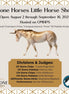 Stone Horses Little Horse Show Online Photo Show LHS24