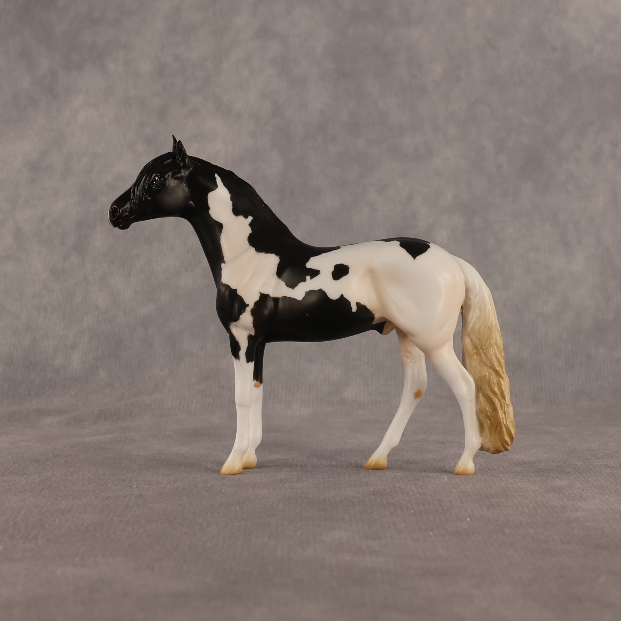 L'olonnais OOAK Chip Andalusian by Madi Wiseman EQ26
