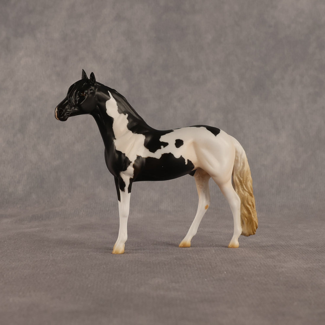 L'olonnais OOAK Chip Andalusian by Madi Wiseman EQ26