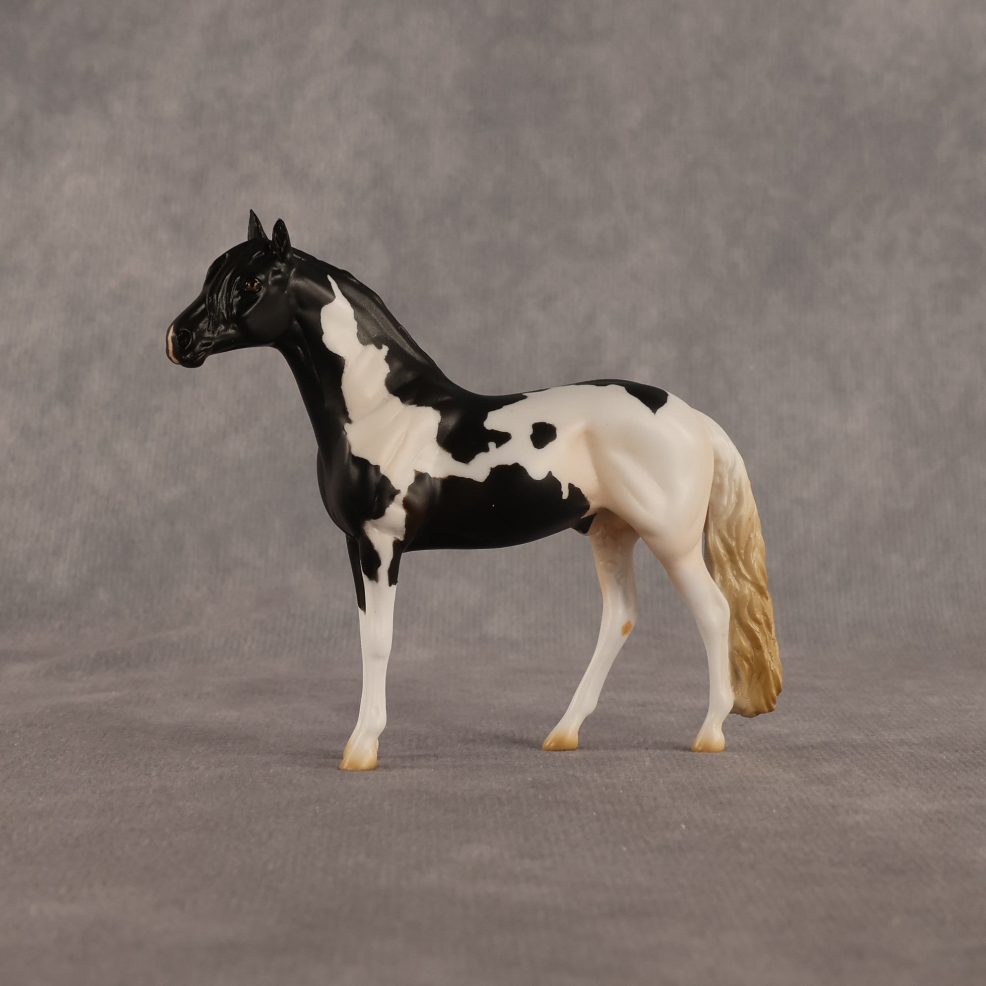 L'olonnais OOAK Chip Andalusian by Madi Wiseman EQ26