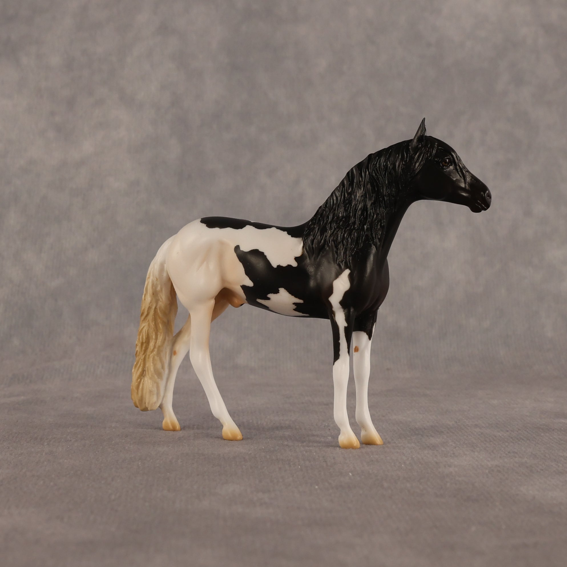 L'olonnais OOAK Chip Andalusian by Madi Wiseman EQ26