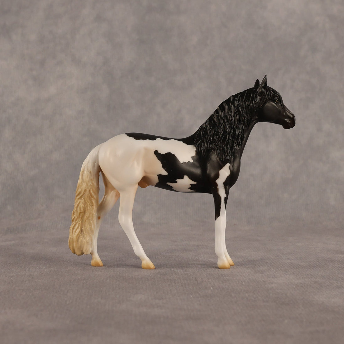 L'olonnais OOAK Chip Andalusian by Madi Wiseman EQ26