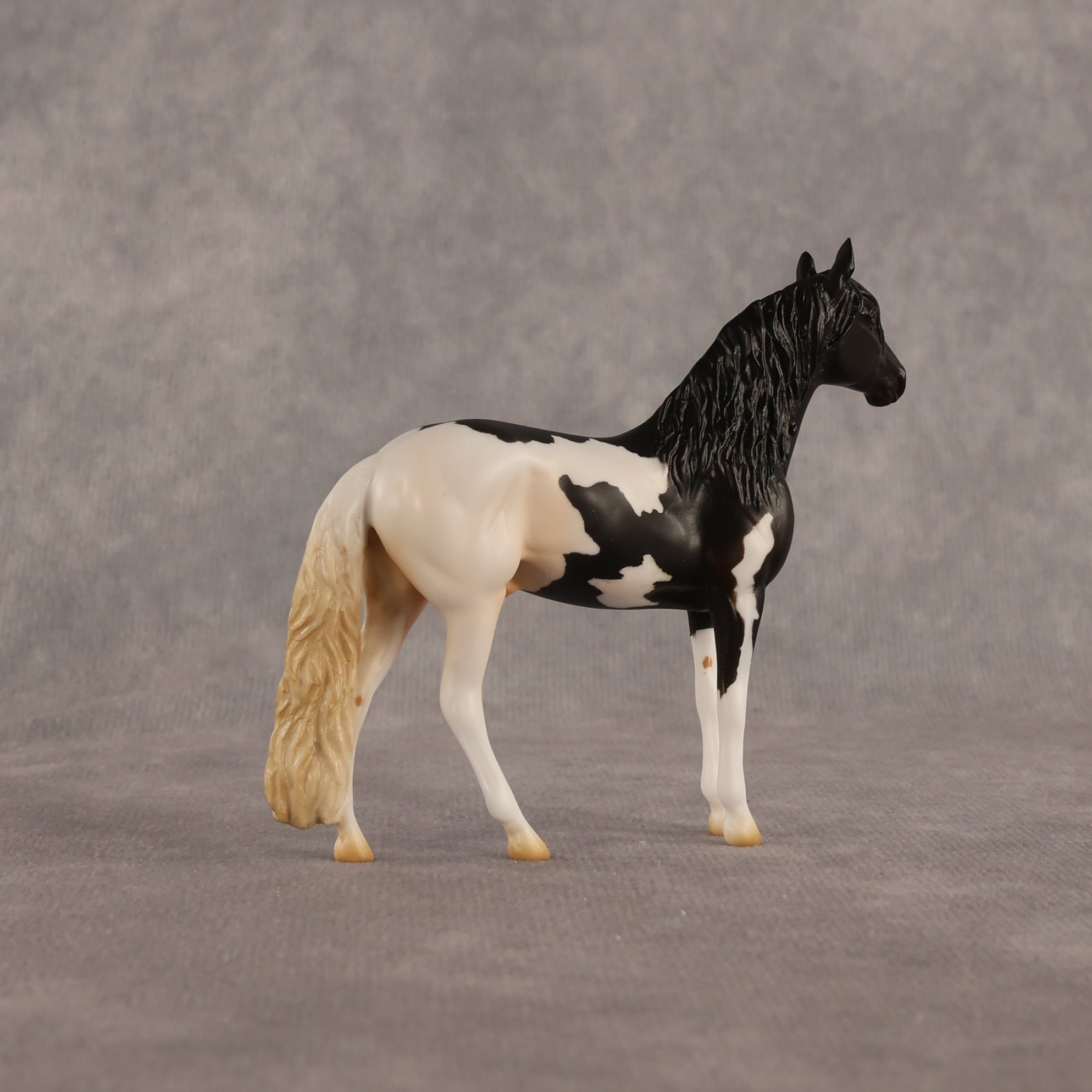 L'olonnais OOAK Chip Andalusian by Madi Wiseman EQ26