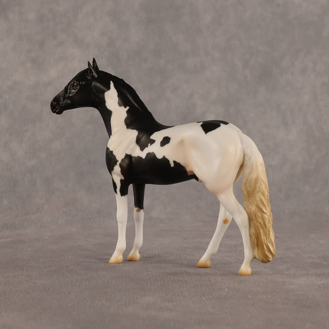 L'olonnais OOAK Chip Andalusian by Madi Wiseman EQ26