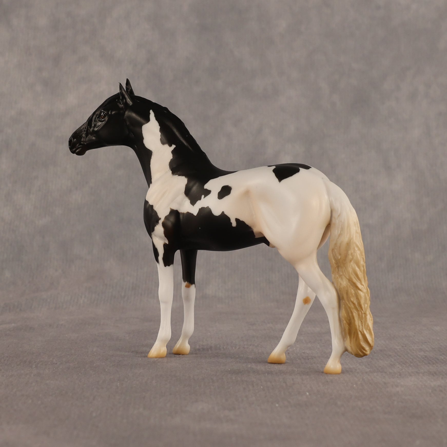 L'olonnais OOAK Chip Andalusian by Madi Wiseman EQ26