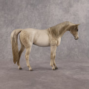 Lady Grey LE-5 Pebble Arabian Mare by Anna Rieck LHS26