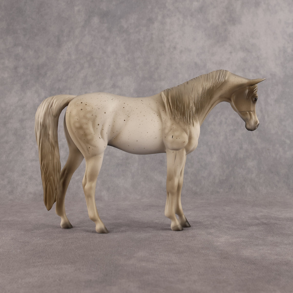 Lady Grey LE-5 Pebble Arabian Mare by Anna Rieck LHS26