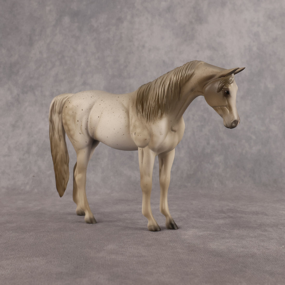 Lady Grey LE-5 Pebble Arabian Mare by Anna Rieck LHS26