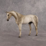 Lady Grey LE-5 Pebble Arabian Mare by Anna Rieck LHS26