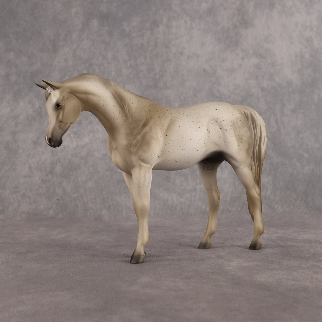 Lady Grey LE-5 Pebble Arabian Mare by Anna Rieck LHS26